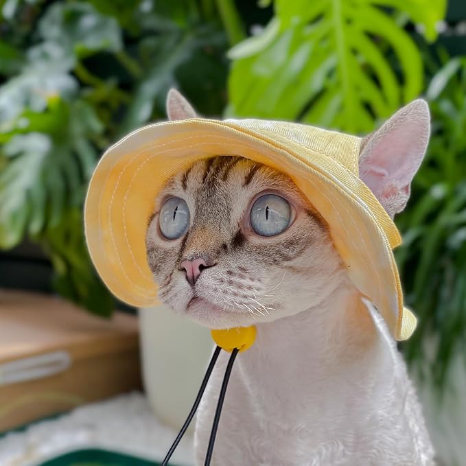 Pet hat with Ear Holes Sunscreen Baseball Cap Suitable for Small and Medium-Sized Dogs Outdoor Climbing hat in Summer Pet Products (Yellow, Small)