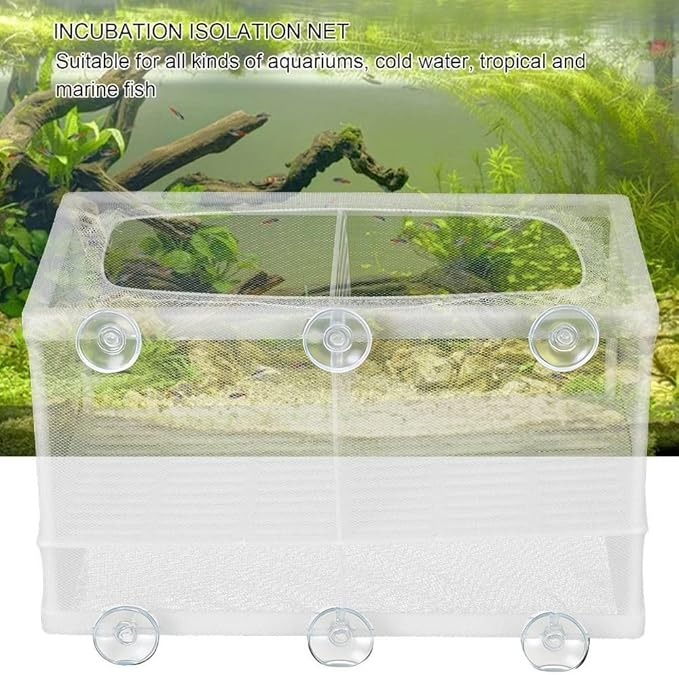 Aquarium Breeder Box with Suction Cups Partition Design Detachable Isolation Hatchery for Fish Fry Tank Breeding(L (with Partition))