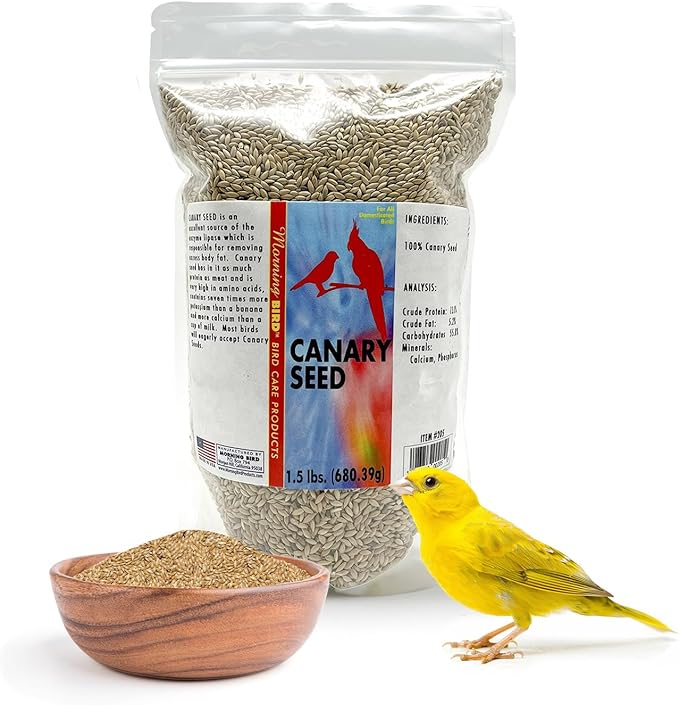 Morning Bird Canary Seed 1.5 lbs – Nutrient-Rich Bird Seed – Creamy Golden Grain Powerhouse - Supports Healthy Feathers & Strong Bones – Natural Daily Nutrition for All Bird Types
