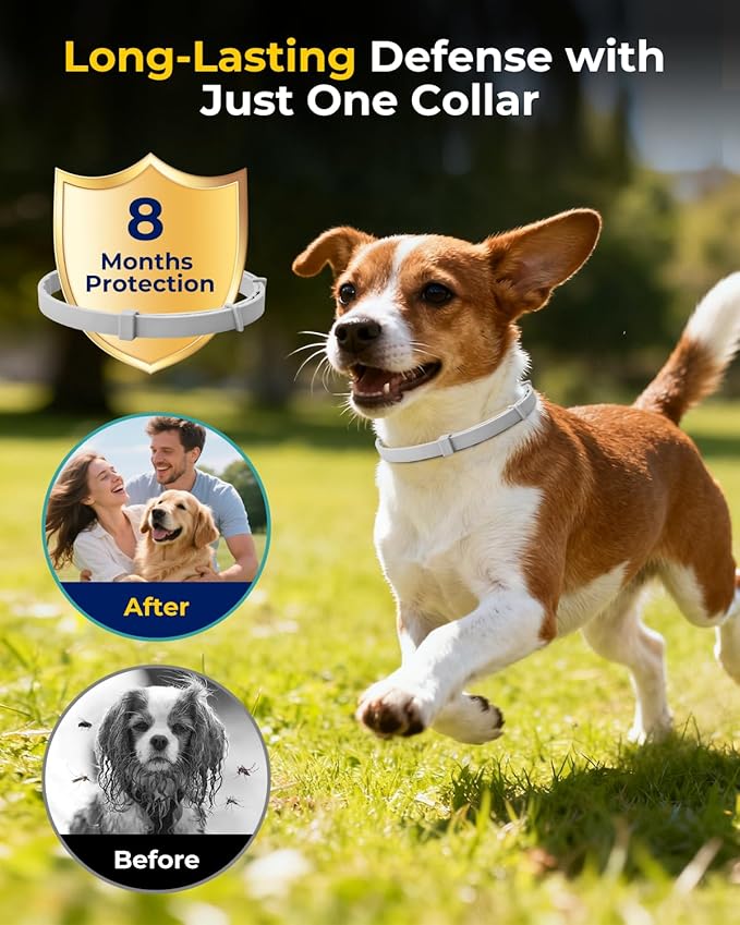 Flea Collar for Dogs, Natural Essential Oil, Waterproof & Adjustable Design, Long-Lasting Protection for Small Dogs & Puppies, Soft Upgraded Material, Grey (4-Pack)