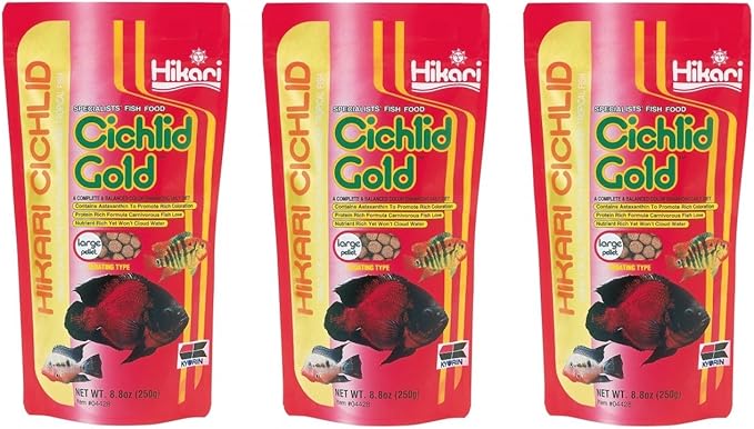 (3 Pack) Hikari Cichlid Gold Floating Pellets Large, 8.8-Ounce