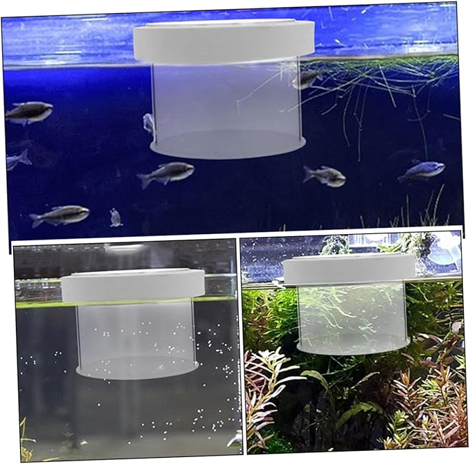 Mipcase Acrylic Fish Isolation Box for Shrimp Breeding Breeding Container Observation and Design for Aquarium Use and Fish Tank Divider