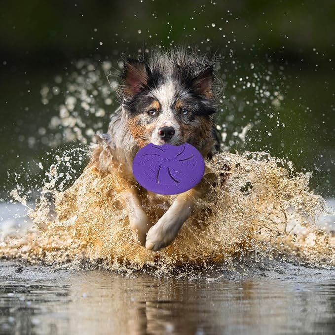 Indestructible Dog Flying Disc, Interactive Dog Flyer Toys, Soft Lightweight Catch and Fetch Toys for Medium Large Dogs, Floats in Water & Safe on Teeth, 9 inch (Large, Purple)