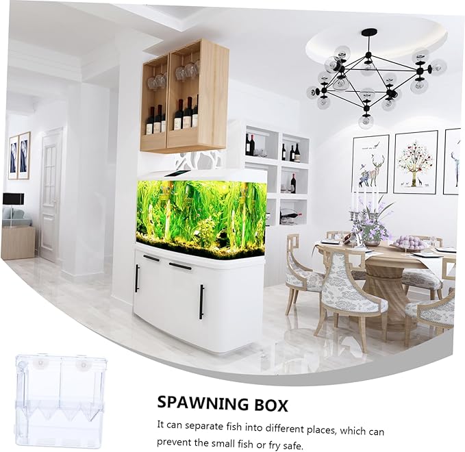 Breeding Tank Transparent Aquarium Box for Fish Hatchery Cup Isolation Box Dual Compartment Design Efficient for Fish Breeding