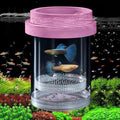 Breeder Box for Fish Tank, Plastic Aquarium Breeding Chamber, Floating Mesh Isolation Hatchery Incubator for Small Fish, Betta Shrimp Clownfish Guppy - Adjustable Nursery Tank Divider (Pink,Large)