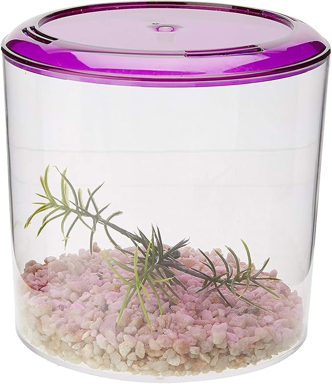 Lee's Round Betta Keeper