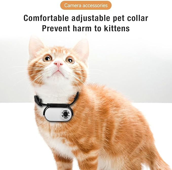 Cat Video Camera,Pet Collar Camera 120 Deg Lens OTG Connection Video Recording Adjustable Magnetic Cat Sport Camera for Outdoor 1920x1080P (White)