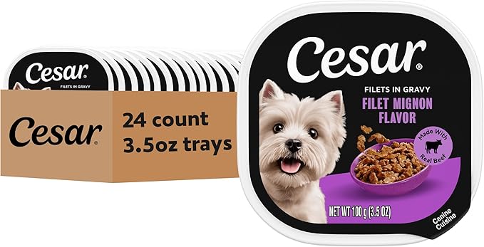 Cesar Filets in Gravy Adult Wet Dog Food Filet Mignon Flavor, 3.5 oz. Easy Peel Dog Food Tray, 24 Count (Pack of 1)