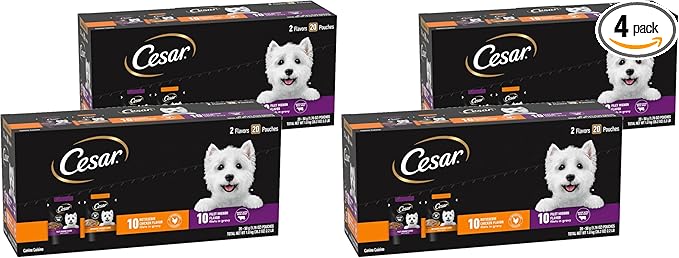 Cesar Filets in Gravy Wet Dog Food Filet Mignon Flavor and Rotisserie Chicken Flavor Variety Pack,Wet Food for Dogs,1.76 oz. Mini-Pouches,20 Count (Pack of 4)