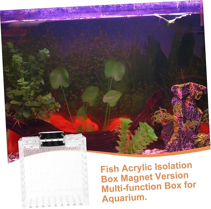 UPKOCH 1pc Fish Isolation Box Magnet Transparent Breeding Container for Aquarium for Fish and Shrimp Separation Tank Accessory