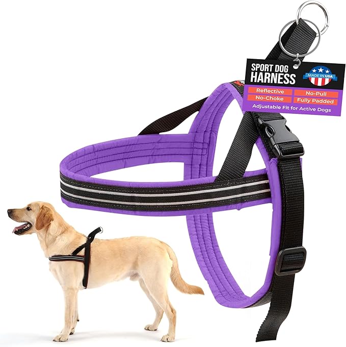 ComfortFlex Sport Dog Harness – No-Choke, Fully Padded, Non-Chafing Harness with Control Handle – Reflective, Lightweight, Adjustable for Active Dogs – Medium, Purple