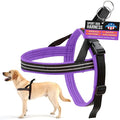 ComfortFlex Sport Dog Harness – No-Choke, Fully Padded, Non-Chafing Harness with Control Handle – Reflective, Lightweight, Adjustable for Active Dogs – Medium, Purple