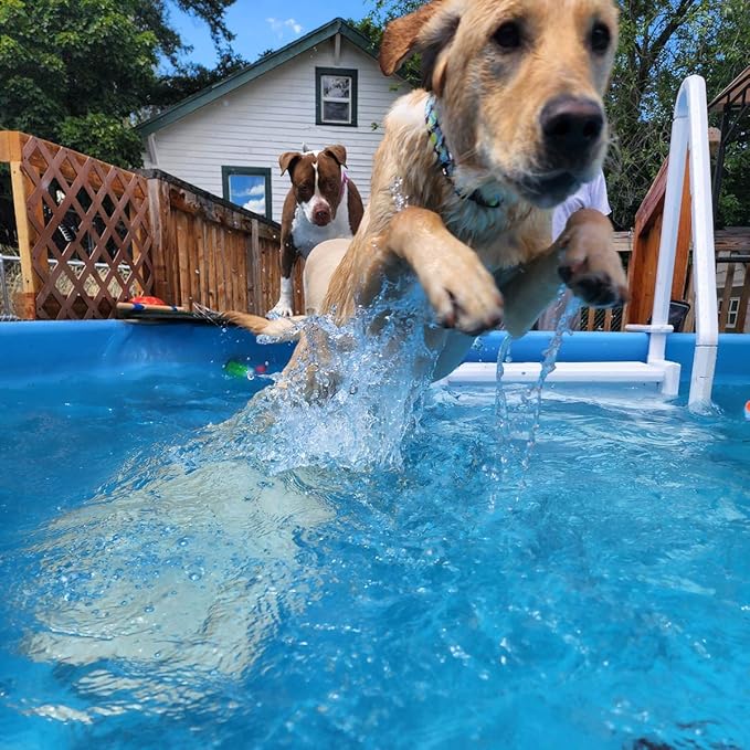PetStep Dog Ramp for Pools (Long Legs, Graphite/Gray)