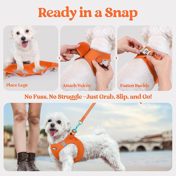 rabbitgoo Dog Harness Small Sized and Leash Set, Step in Soft Light Puppy Vest, Breathable Mesh Pet Harness, Reflective for Safe Easy Walking, Orange M