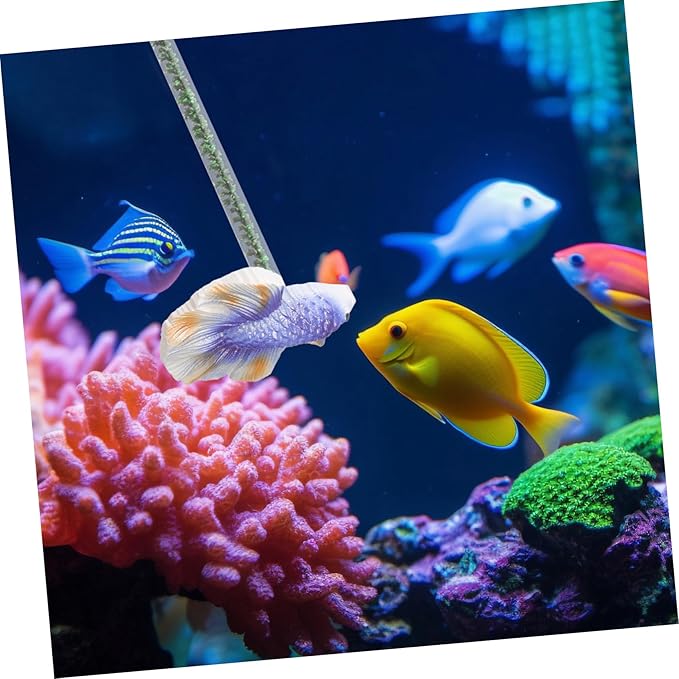 DOITOOL Fish Training Interactive Betta Fish Training Stick Betta Health Agility Fun Exercise Rod for Aquarium Engaging Decorative Toy