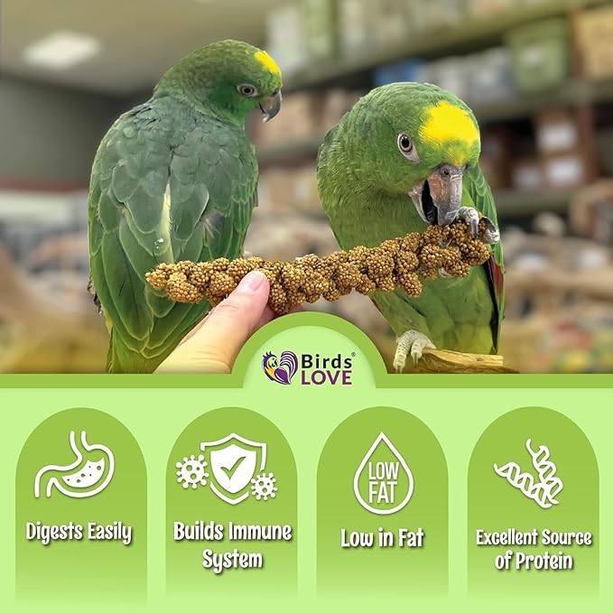 Birds LOVE 1lb French Kissed Spray Millet for Birds – Harvested in France & Packed in The USA – 100% Natural & Sun‑Dried Millet Spray for Parakeets, Cockatiels, Conures, Parrots & Budgies