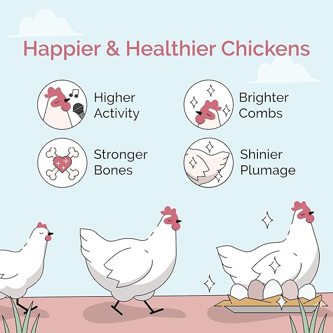 Mile Four Organic Chicken Feed (23 lbs) Layer Mash, Non-GMO, USA Grown, 16% Protein, Corn-Free, Soy-Free, Non-Medicated Feed for Chickens