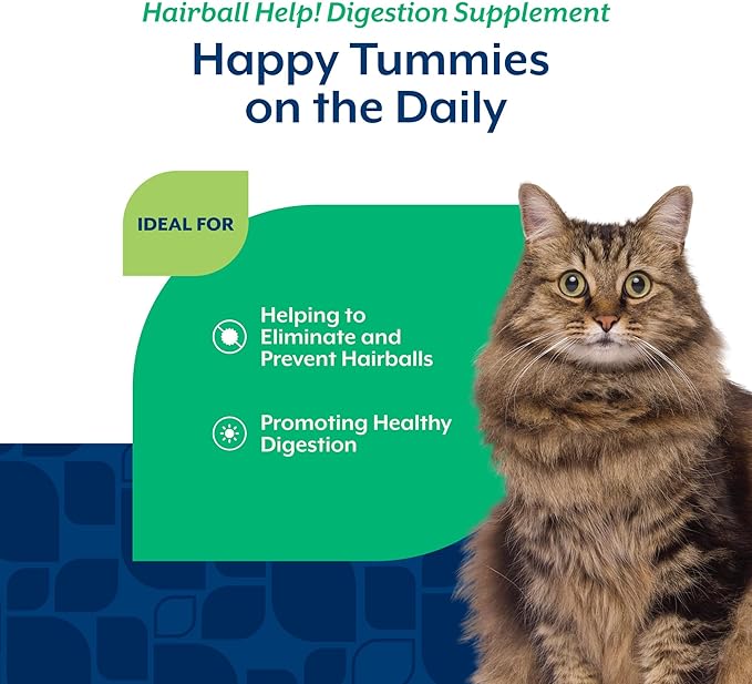 NaturVet – Hairball Aid Supplement for Cats - Plus Pumpkin – Helps Eliminate & Prevent Hairballs – 60 Soft Chews