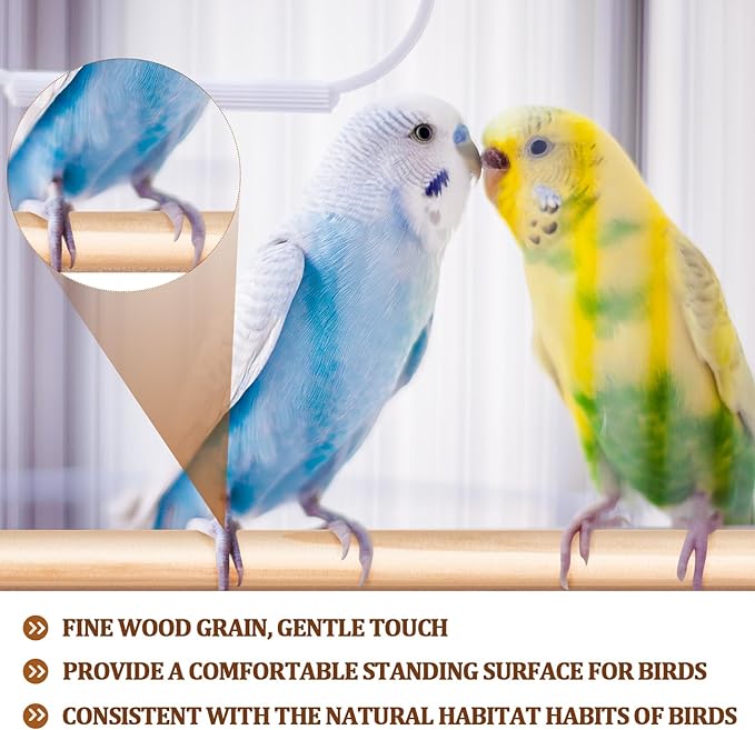 Sintuff 8 Pcs Bird Perches for Cage Accessories, Wooden Perch Rods Replacement with Double Head Slots, 0.6 Inch Diameter Natural Wood Stand for Parrot Macaw Cockatoo Parakeet(30 Inches)