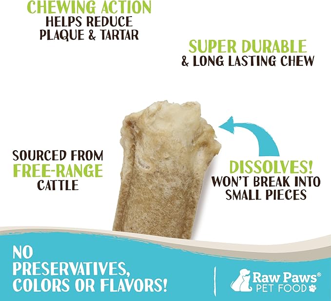 Raw Paws 5-inch Compressed Rawhide Rolls for Dogs (100-Pack) Bulk - Packed in USA - Natural Retriever Rolls - Rawhides for Dogs - Small Dog Chews Stick - Digestible Rawhide - Puppy Bones