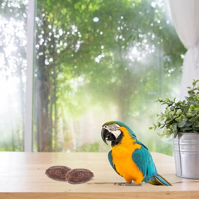 8pcs Natural Dried Fruit Parrot Chew for Budgie and Parakeet Foraging Accessories with Unique Shapes to Promote Healthy Beak and Mental Stimulation