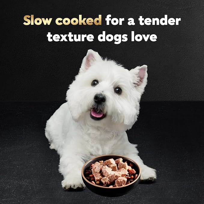 Cesar Classic Loaf in Sauce Adult Wet Dog Food Grilled Chicken Flavor, Wet Food for Dogs, 3.5 oz Easy Peel Trays, 24 Count (Pack of 2)