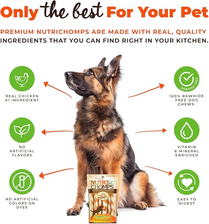 NutriChomps Dog Chews 5-inch Twists, Easy to Digest, Rawhide-Free Dog Treats, 10 Count, Real Peanut Butter flavor (Packaging May Vary)