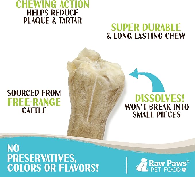 Raw Paws 10-inch Compressed Rawhide Bones for Dogs, 10-Count - Packed in USA - Long Lasting Dog Chews - Natural Pressed Rawhides - Large Dog Bones - Raw Hide for Aggressive Chewers