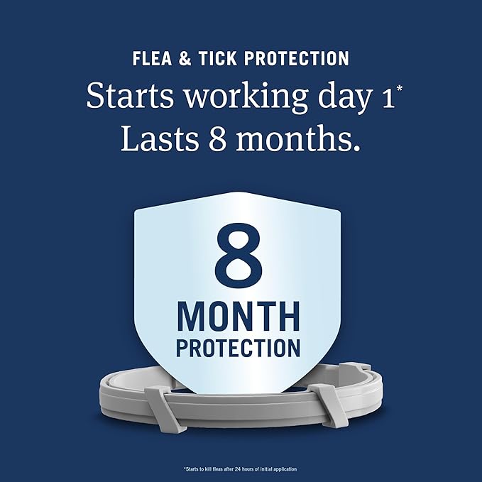 PetArmor Extend Flea & Tick Treatment & Prevention Collar for Small Dogs up to 18 lbs., 8 Months of Protection, Odorless & Non-Greasy, Waterproof, Kills Fleas, Ticks, and Flea Larvae, 2 Count