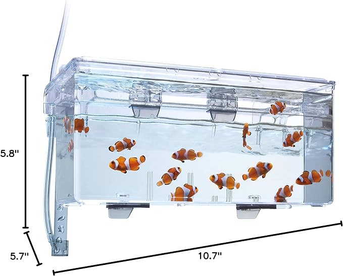Fluval Multi-Chamber Holding and Breeding Box, Large – Up to 3 Separate Housing Compartments (Pack of 6)