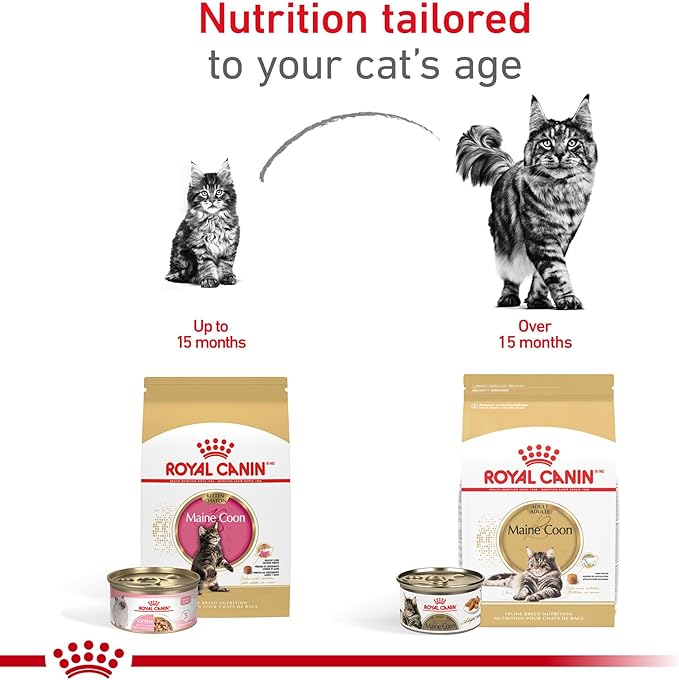 Royal Canin Feline Breed Nutrition Maine Coon Kitten Dry Cat Food, 3 lb Bag