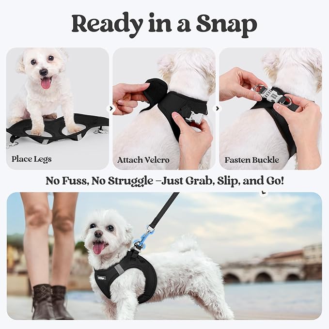 rabbitgoo Dog Harness Small Sized and Leash Set, Step in Soft Light Puppy Vest, Breathable Mesh Pet Harness, Reflective for Outdoor Safe Walking, Black XXXS