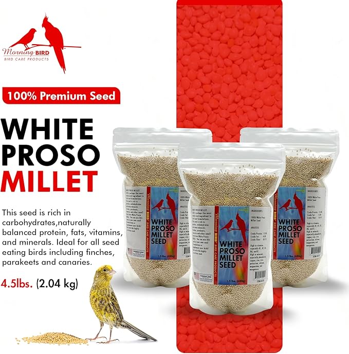 Morning Bird White Proso Millet 4.5 lbs (3-Pack, 1.5 lbs Each) Natural Bird Seed – Supports Feather Growth & Balanced Nutrition – High Energy Delicious Seed - Ideal for Finches, Parakeets & Pet Birds