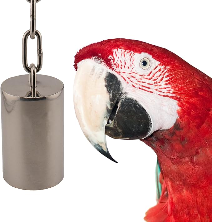 Super Bird Creations SB1243 Stainless Steel Tube Bells - Bird Cage Accessory for Sound Enrichment - Ideal for Parrots, Amazons, Greys, Cockatoos and Macaws (Large)
