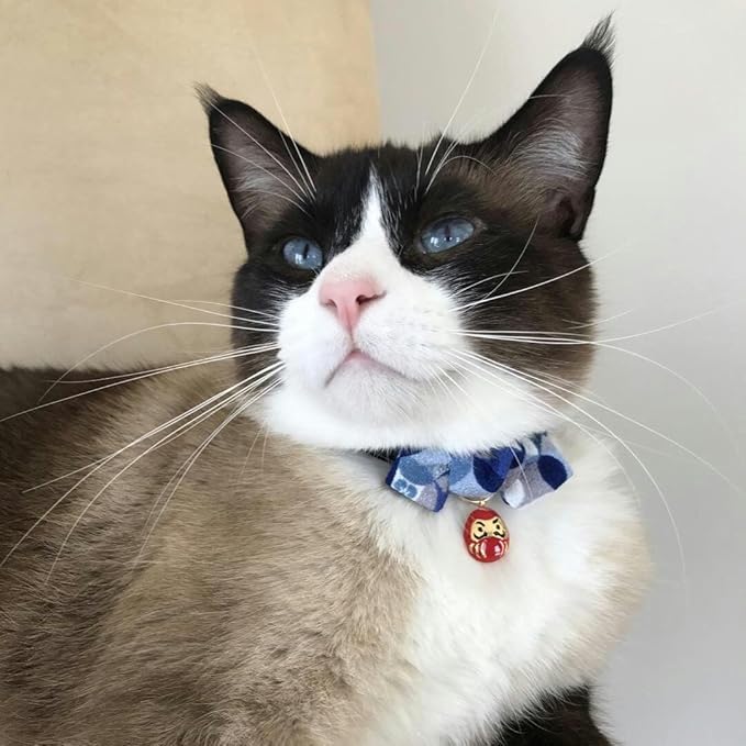 Necoichi Daruma Charm Bow Tie Cat Collar (Blue)