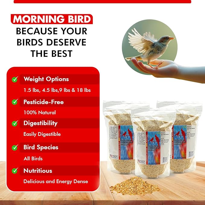 Morning Bird Golden German Millet 4.5 lbs (3-Pack, 1.5 lbs Each) – Natural Millet Seed for Birds – Natural Protein & Fiber Source – Easy-to-Digest Daily Nutrition for All Bird Types