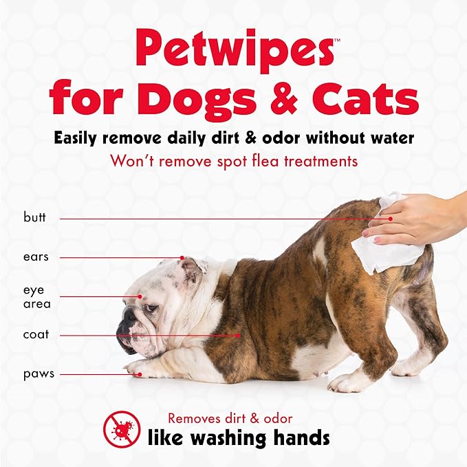 Petkin Pet Wipes for Dogs & Cats - 200 Large Wipes - Removes Dirt & Odor - Cleans Ears, Face, Butt, Eye Area - Convenient for Home or Travel - 2 Packs