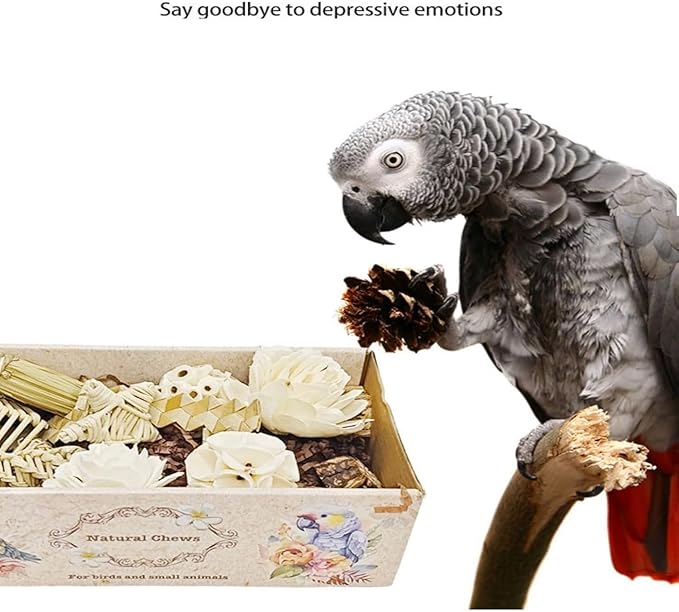 Bird Toys Bird Foraging Shredding Chewing Parrot Foraging Shredding Toys Chewing Toy Birdcage Accessories for Conures Caiques Cockatiel Budgies Parakeet and Small to Medium Birds
