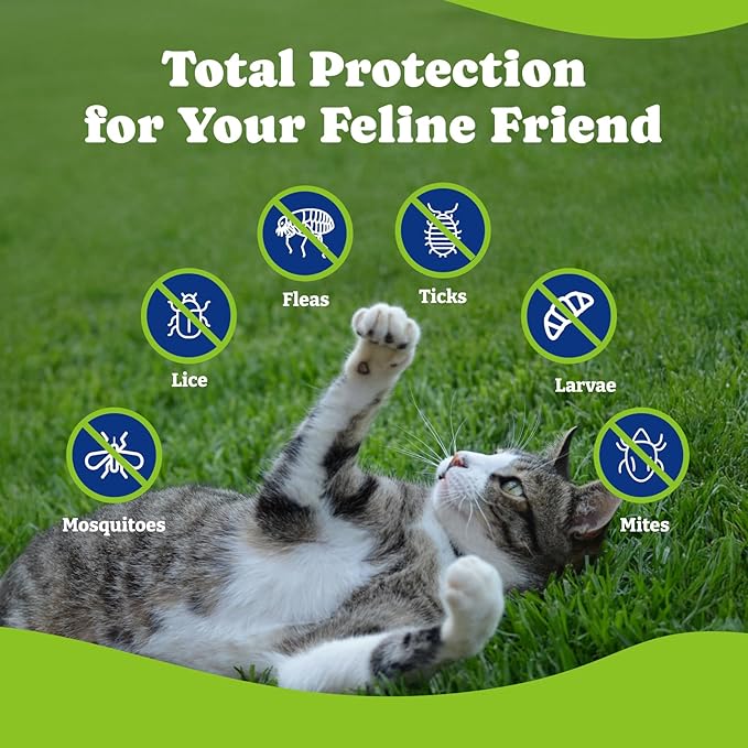 Flea and Tick Prevention for Cats - 200 Soft Chews Natural Cat Flea Treatment, Salmon & Blueberry Flavor - Flea Treatment for Cats, Cat Oral Flea, Immune Support Supplement (200 Chews)