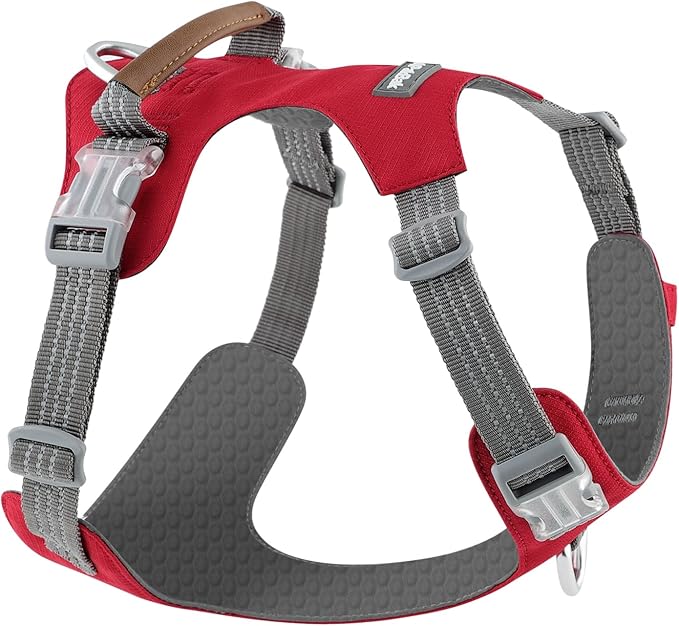 No Pull Dog Harness – Adjustable Reflective Nylon Vest for Small Medium Large Dogs, Escape Proof Training Harness with Leather Control Handle, Lightweight Aluminum Hardware (Red, XL)
