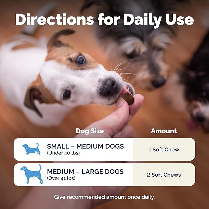 Vetnique Glandex Daily Probiotics for Dogs with Prebiotics to Support Gut Health with Fiber and Digestive Enzymes, Dog Probiotic Chews or Powders (120ct Chews, Bacon Chews)