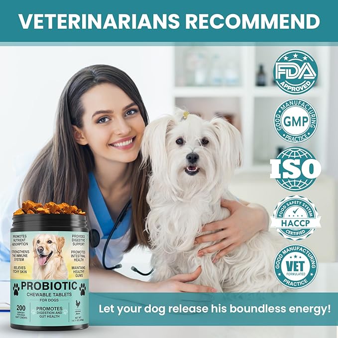 Probiotics for Dogs Gut Digestive Health Probiotic Chew for Dogs Digestive Enzymes Relieve Diarrhea Immunity Oral Problems Itching Constipation Prebiotics Dog Probiotics 200 Tablets Chicken Flavor