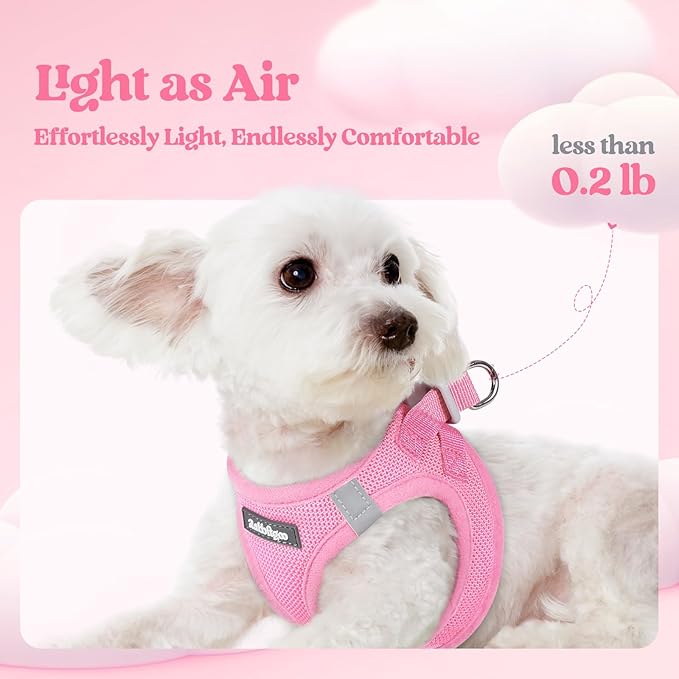 rabbitgoo Dog Harness Medium Sized and Leash Set, Step in Soft Light Puppy Vest, Breathable Mesh Pet Harness, Reflective for Safe Easy Walking, Light Pink XXL