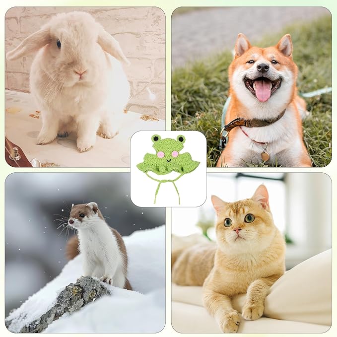 1 PCS Cat Hat Cute Frog Shape Pet Cap Frog & Flower Cats Hat Cotton & Soft Cute Knitted Cats Hats Cutes Knitted Cat Costume for Small Pets (Green, M)