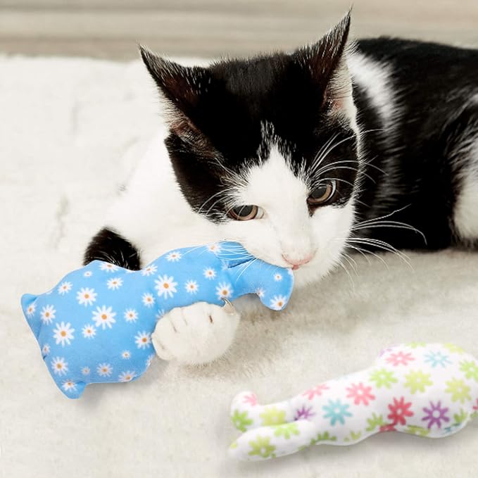 CiyvoLyeen Easter Spring Cat Catnip Kitten Chew Bite Toys Interactive Pillows Teeth Plush Plaything for Cat Gift Cat Lover Funny Pets Supplies Set of 6