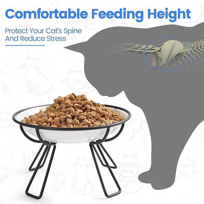 Ceramic Elevated Cat Bowls - Whisker Friendly, Anti-Vomiting, Stylish & Hygienic Cat Bowl Set (Line Cat, 2 Pack)