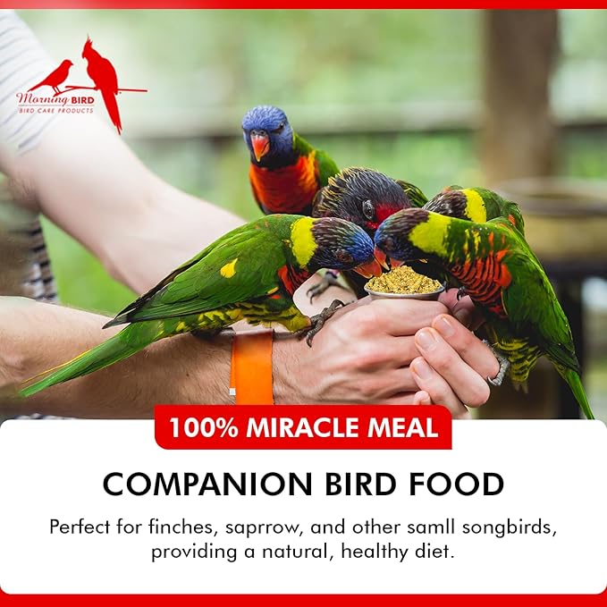 Morning Bird Miracle Meal 1.5 lbs – Vitamin Fortified Soft Bird Food for Birds - All-Natural No Artificial Dyes, Flavors or preservatives - Supports Feather Strength, Breeding & Overall Wellness