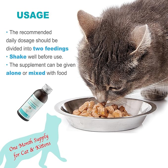 Cat Immune Support Liquid Supplement – L-Lysine & Astragalus – Enhances Immunity and Relieves Feline Herpes Symptoms – Nutritional 3.38oz (100ml) for Cats of All Ages