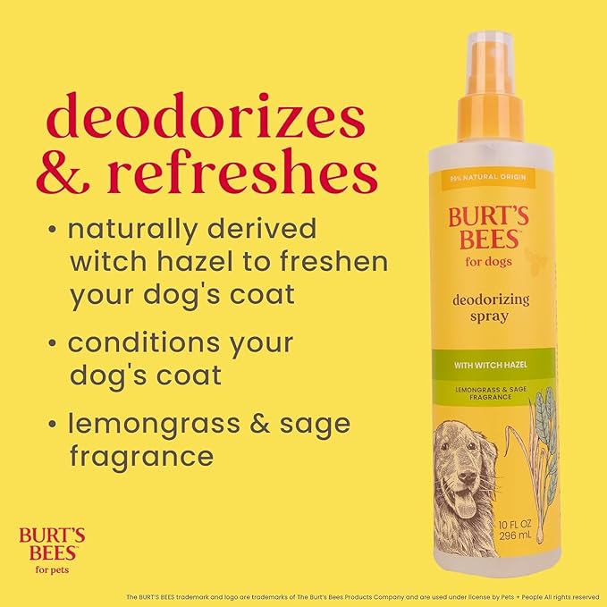 BURT'S BEES FOR PETS Deodorizing Spray for Dogs with With Hazel, Lemongrass and Sage Fragrance, 99% Natural Origin Formulas, Best Waterless Dog Shampoo - Gentle Dry Shampoo for Dogs, 10 oz - 2 Pack