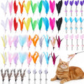 60 Pcs Cat Wand Feather Toys Refill Colorful Cat Wand Replacement Feathers Toy for Interactive Kitten Fishing Pole Feather Attachments with Bells for Stray Cats to Exercise